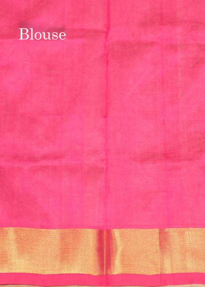 Blue Colour Pure Silk Cotton Saree With Contrast Pink Border