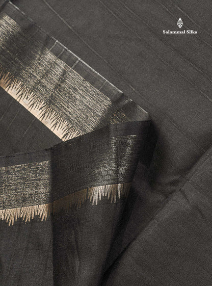 Semi Tussar Saree - Black Colour Plain Body With Fancy Border