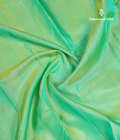 Beautiful Dual Tone Rexona Green Pure Kanjivaram Silk Saree With Contrast Navy Blue Fancy Border