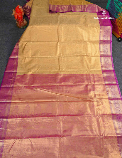 Tissue Bridal Semi Silk Saree - Cream Gold Colour Body With Contrast Vadamalli Border 