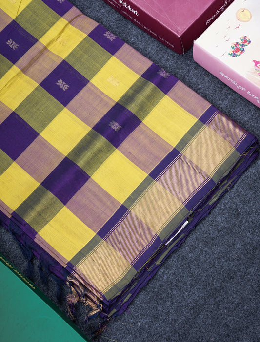 Paalum Pazham Checks Pure Silk Cotton Saree With Contrast Violet Blouse