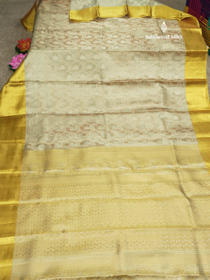 Light Chocolet Tissue Bridal Pure Silk Saree With Mustard Yellow Evining Morning Border