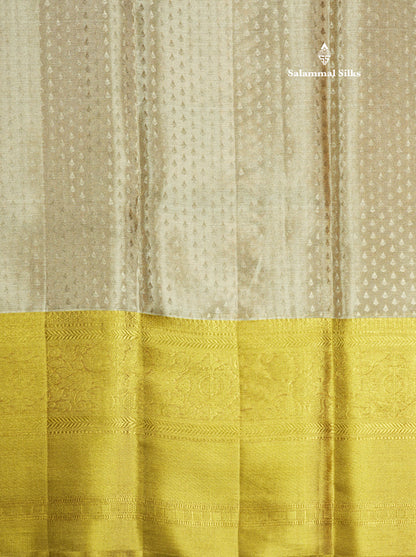 Light Chocolet Tissue Bridal Pure Silk Saree With Mustard Yellow Evining Morning Border