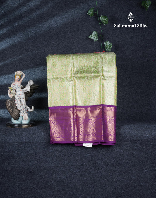 Pure Silk Pattu Pavadai (Parrot Green Tissue) With Violet Blouse 27"