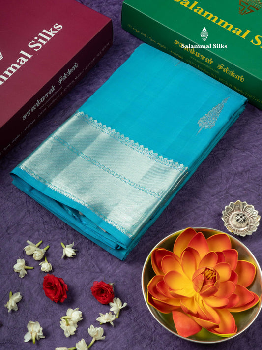 Kanjivaram Beautiful Light Anandha Blue Pure Silk Saree With Silver Zari Border