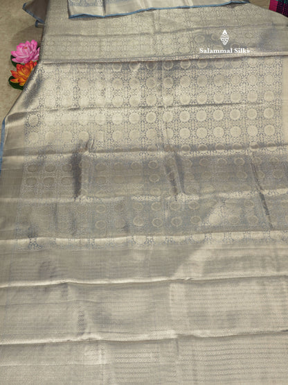 Beautiful Parrot Green Grand Tissue Banaras Fancy Saree With Self Border