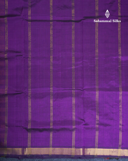 Beautiful Paalum Pazham Checks Handloom Pure Silk Cotton Saree With Traditional Small Border