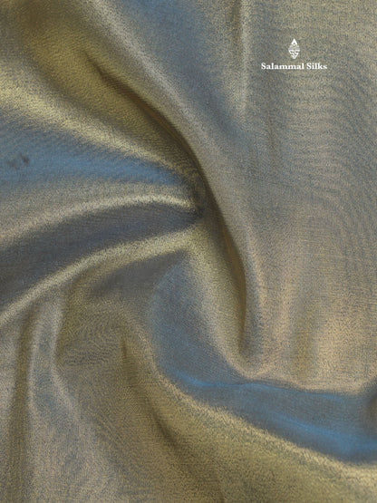Blue Shade Plain Tissue Saree With Fancy Border