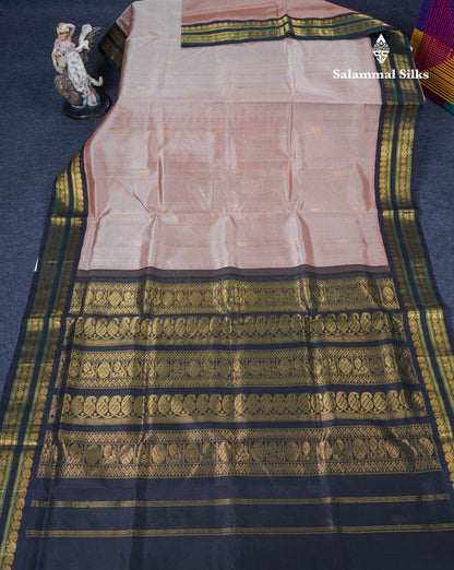 Light Brown Pure Silk Cotton Saree With Contrast Black Traditional Border