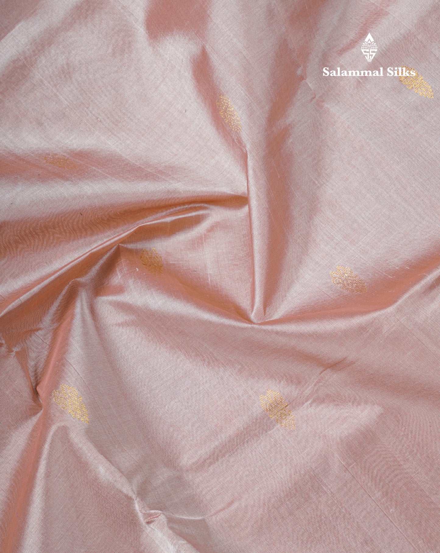 Light Brown Pure Silk Cotton Saree With Contrast Black Traditional Border