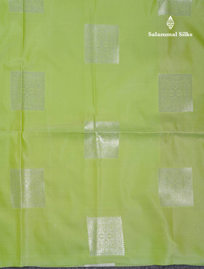 Beautiful Parrot Green Semi Soft Silk Saree With Contrast Lavender Blouse