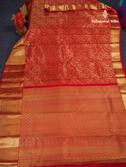 Beautiful Chilly Red Bridal Pure Kanjivaram Silk Saree With Traditional Evening Morning Border