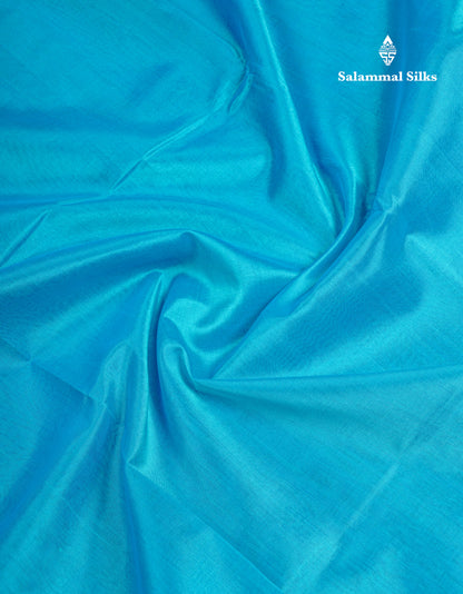 Sky Blue Plain Pure Silk Cotton Saree With Contrast Purple Traditional Border