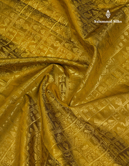 Beautiful Olive Mustard Yellow Bridal Pure Kanjivaram Silk Saree With Contrast Peacock Blue Evening Morning Border