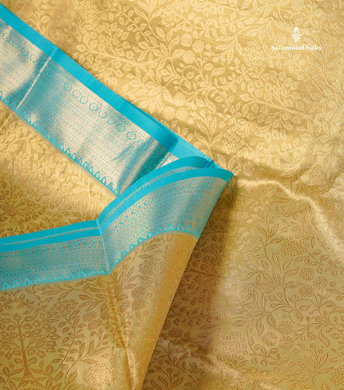 Tissue Bridal Semi Silk Saree - Cream Gold Colour Body With Contrast Light Blue Border