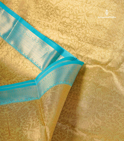 Tissue Bridal Semi Silk Saree - Cream Gold Colour Body With Contrast Light Blue Border
