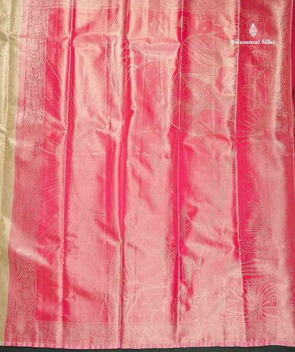 Fancy Tissue Semi Silk Saree - Beige Colour Body With Contrast Pink Blouse