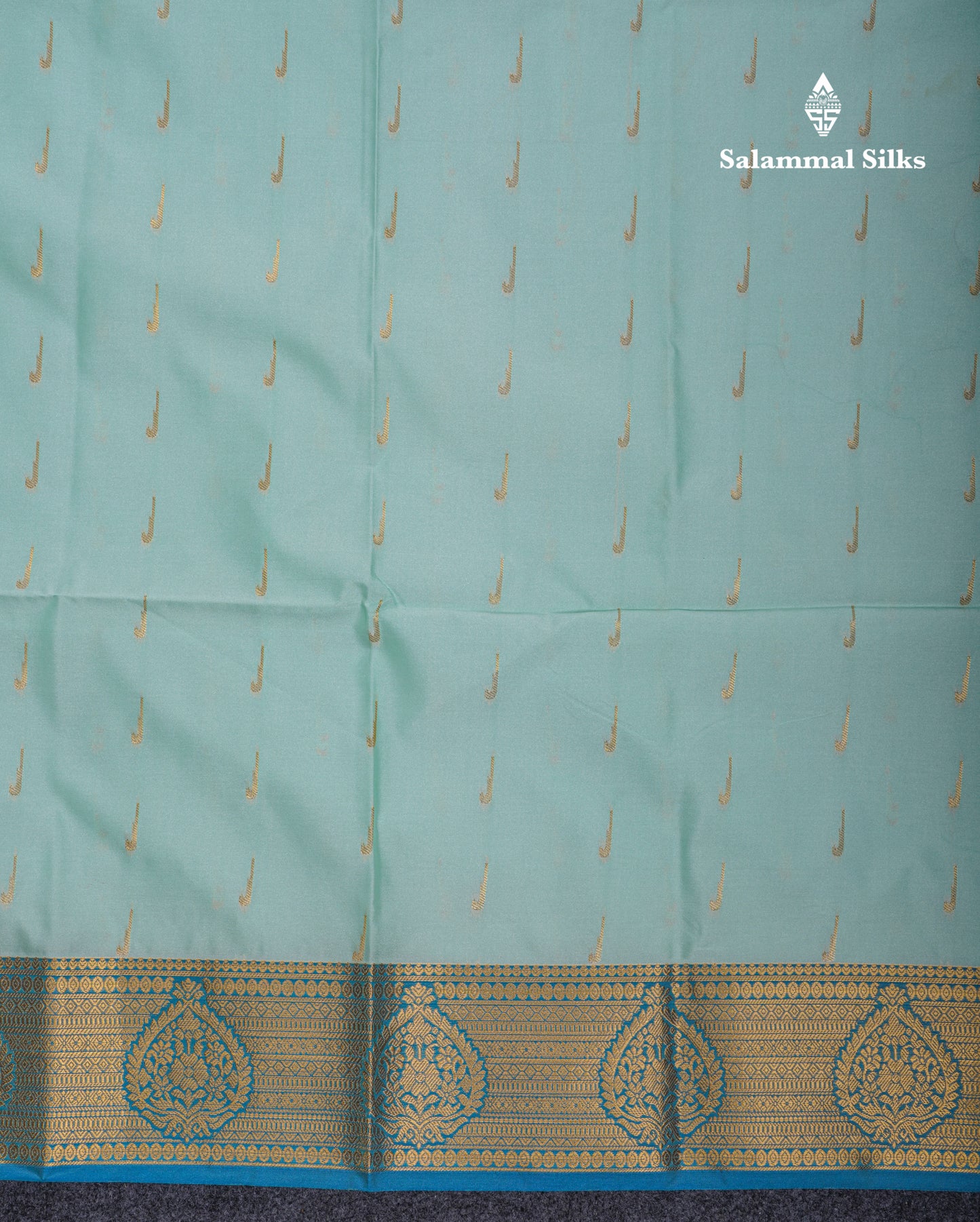 Beautiful Light Rexona Green Semi Soft Silk Saree With Contrast Peacock Blue Border