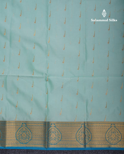 Beautiful Light Rexona Green Semi Soft Silk Saree With Contrast Peacock Blue Border