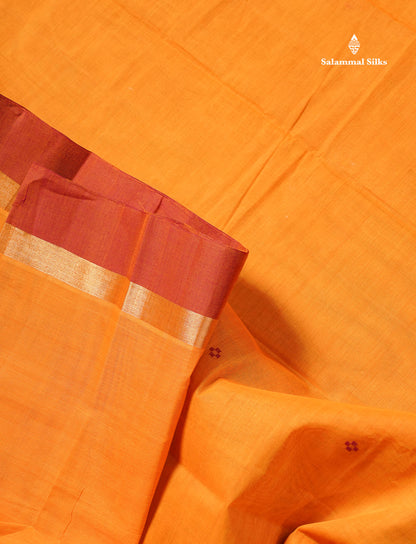 Handloom Pure Cotton Saree -  Light Beige Colour Body With Contrast Chocolate Brown Blouse