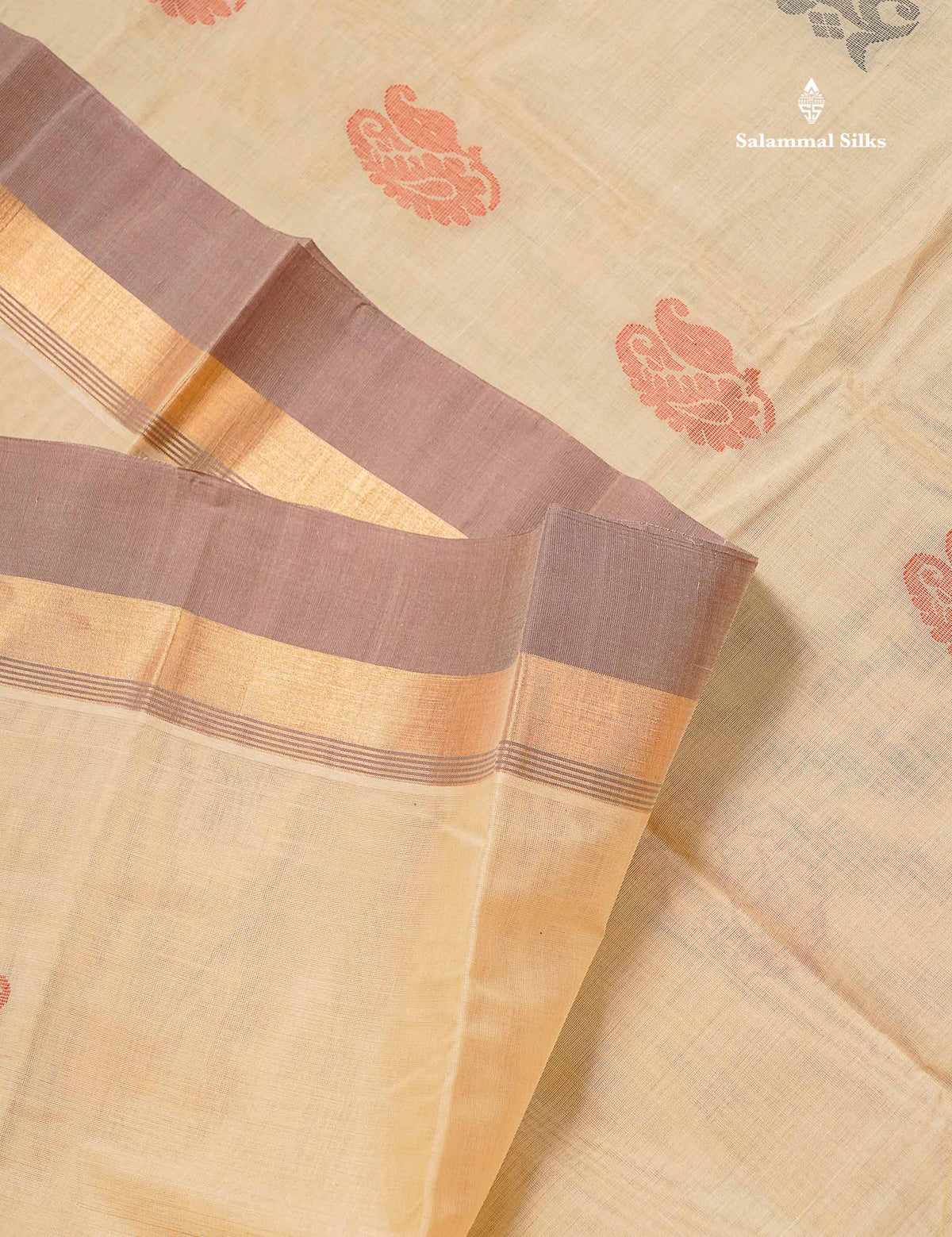 Handloom Pure Cotton Saree -  Beige Colour Body With Contrast Chocolate Brown Blouse