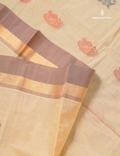 Handloom Pure Cotton Saree -  Beige Colour Body With Contrast Chocolate Brown Blouse