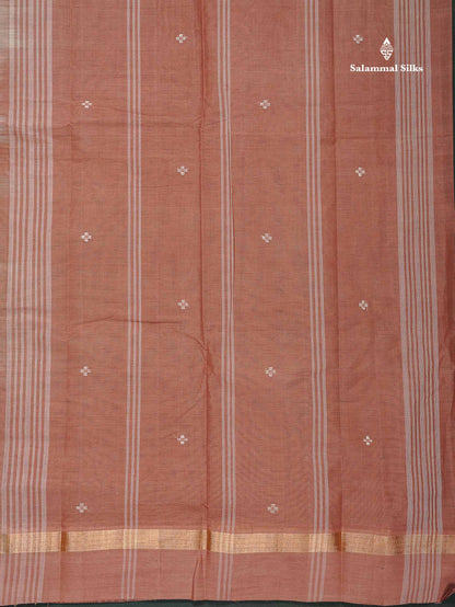 Handloom Pure Cotton Saree -  Light Beige Colour Body With Contrast Chocolate Brown Blouse