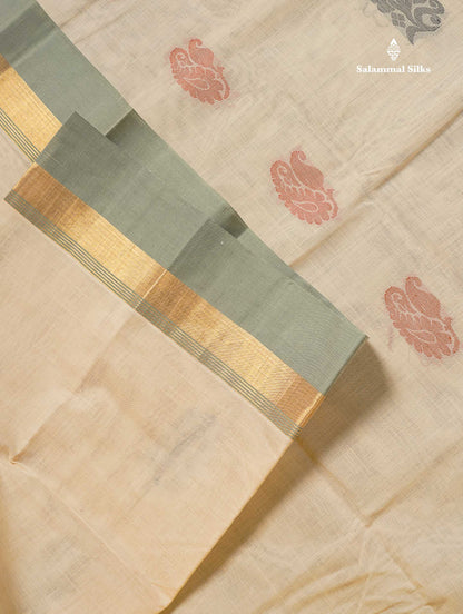 Handloom Pure Cotton Saree - Cream Colour Body With Contrast Cream Green Blouse