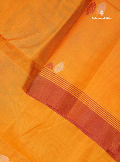 Handloom Pure Cotton Saree -  Brown Colour Body Thread Butta With Contrast Sandal Border
