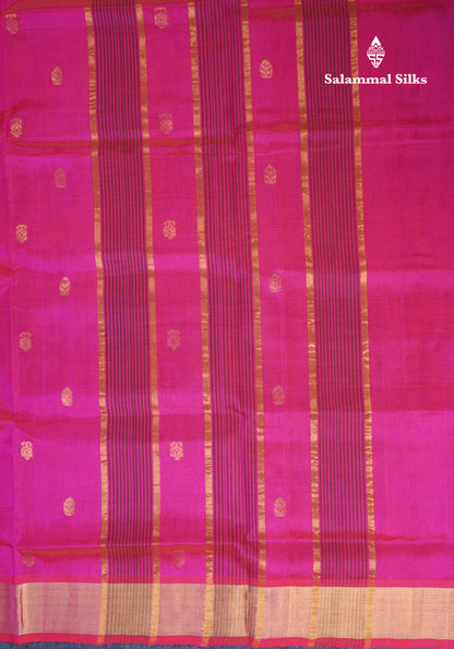 Black Pure Silk Cotton Saree With Contrast Pink Blouse