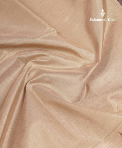 Beautiful Light Chocolate Plain Pure Silk Cotton Saree With Contrast Dark Brown Traditional Rettapet Border