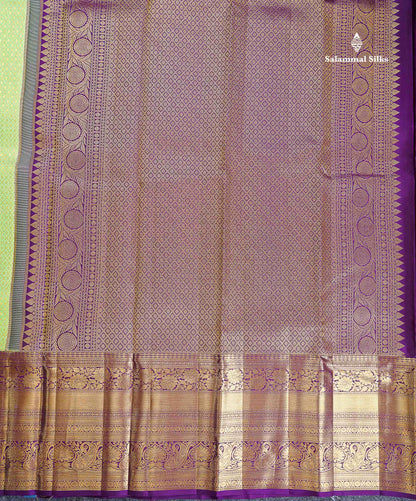 Bridal Pure Kanjivaram Silk Saree - Pista Green Colour Body With Contrast Dark Purple Evening Morning Border