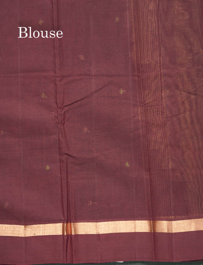Handloom Pure Cotton Saree -  Half White Colour Body With Contrast Sandal Border