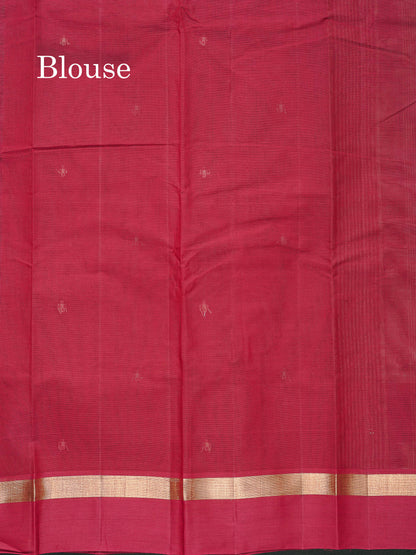 Handloom Pure Cotton Saree -  Half White Colour Body With Contrast Sandal Border