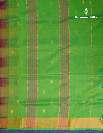 Beautiful Paalum Pazham Checks Handloom Pure Silk Cotton Saree With Contrast Parrot Green Blouse