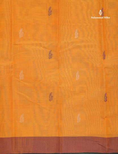 Handloom Pure Cotton Saree - Mustard Yellow Colour Body With Contrast Dark Brown Blouse