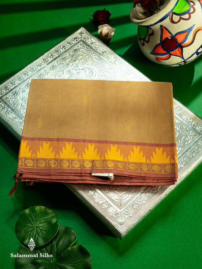 Beautiful Light Elaichi Green Pure Cotton Saree With Traditional Temple Border