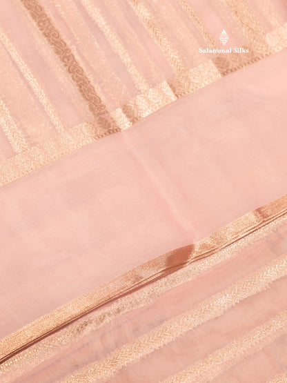 Pista Green Colour Semi Organza Saree With Embroidery Border