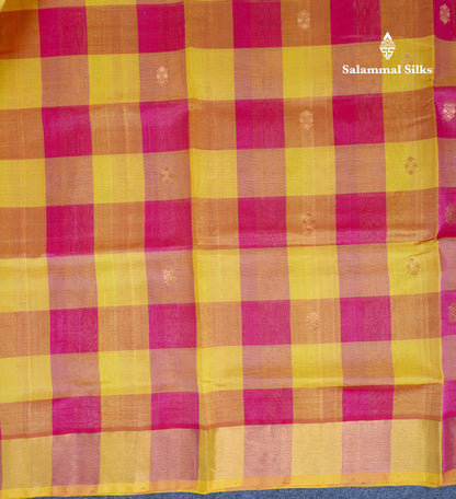 Beautiful Paalum Pazham Checks Pure Silk Cotton Saree With Contrast Bottle Green Blouse