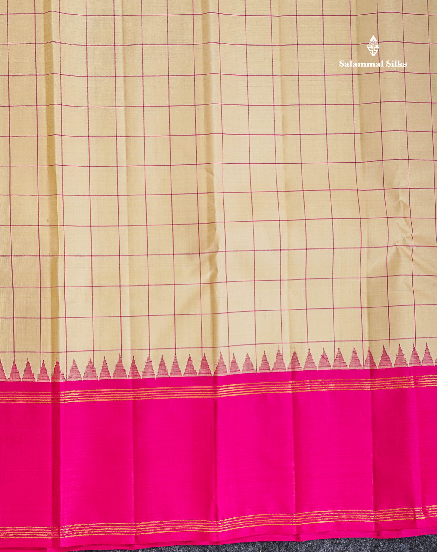 Pure Kanjivaram Silk Saree - Beige Colour Body Checks With Traditional Ganga Jamanu Gap Border