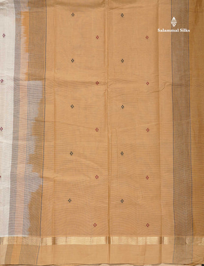Handloom Pure Cotton Saree -  Half White Colour Body With Contrast Sandal Border