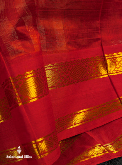 Beautiful Multicolour Checks Pure Silk Cotton Saree With Contrast Chilly Red Traditional Gap Border