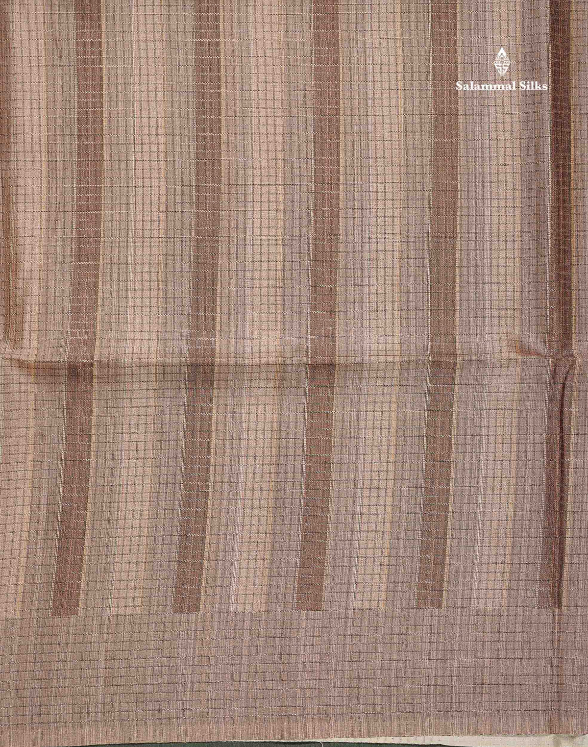 Semi Tussar Saree - Beige Colour Body With Contrast Brown Blouse