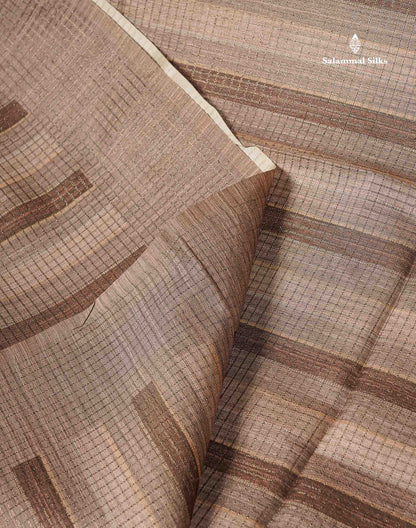 Semi Tussar Saree - Beige Colour Body With Contrast Brown Blouse