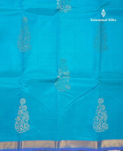 Beautiful Sky Blue Pure Kanjivaram Silk Saree With Contrast Violet Blouse