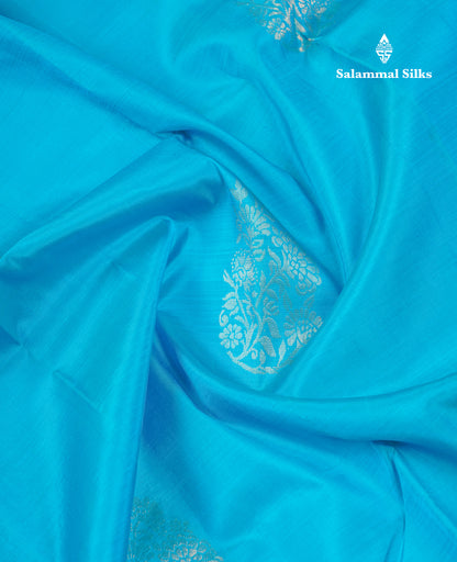 Beautiful Sky Blue Pure Kanjivaram Silk Saree With Contrast Violet Blouse
