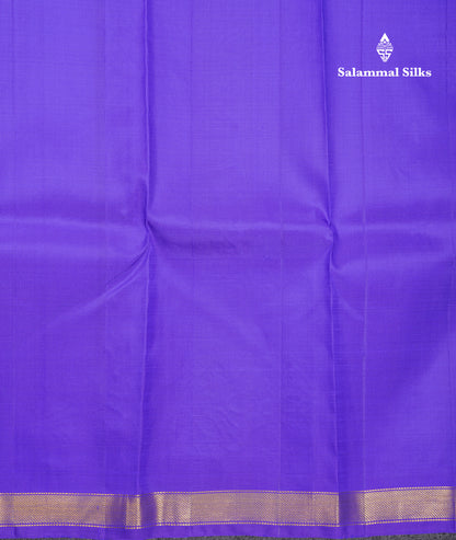 Beautiful Sky Blue Pure Kanjivaram Silk Saree With Contrast Violet Blouse