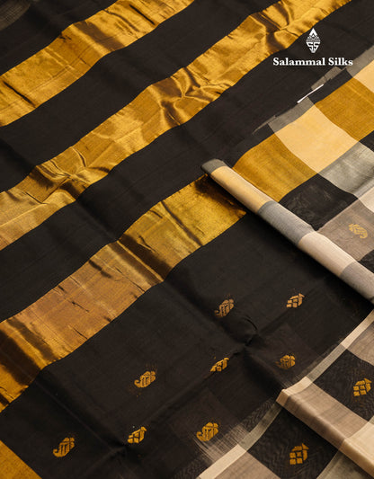 Beautiful Paalum Pazham Checks Pure Silk Cotton Saree With Contrast Black Blouse