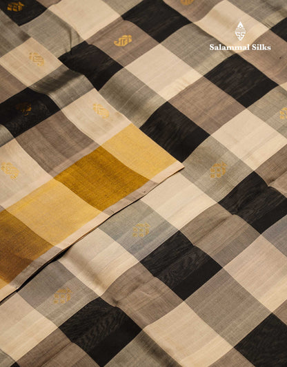 Beautiful Paalum Pazham Checks Pure Silk Cotton Saree With Contrast Black Blouse
