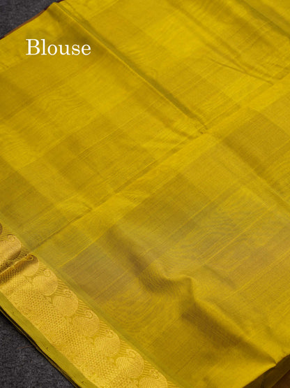Beautiful Paalum Pazham Checks Pure Silk Cotton Saree With Contrast Manthulir Green Blouse